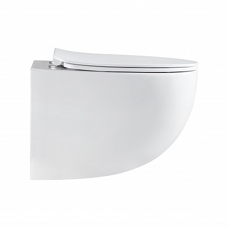 Подвесной унитаз безободковый Terminus Енисей Monolit 560х390 белый Гуково - фото 4 Подвесной унитаз безободковый Terminus Енисей Monolit 560х390 белый Гуково - фото 4