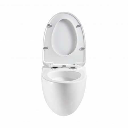 Подвесной унитаз безободковый Terminus Енисей Monolit 560х390 белый Гуково - фото 5 Подвесной унитаз безободковый Terminus Енисей Monolit 560х390 белый Гуково - фото 5